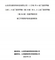 山東祥東新材料科技有限公司1.2萬噸/年6-叔丁基鄰甲(60K)、4-叔丁基鄰甲酚(偏 24 酚)和 4,6-二叔丁基鄰甲酚(偏 246 酚)烷基甲酚項目竣工環(huán)境保護(hù)驗收監(jiān)測報告
